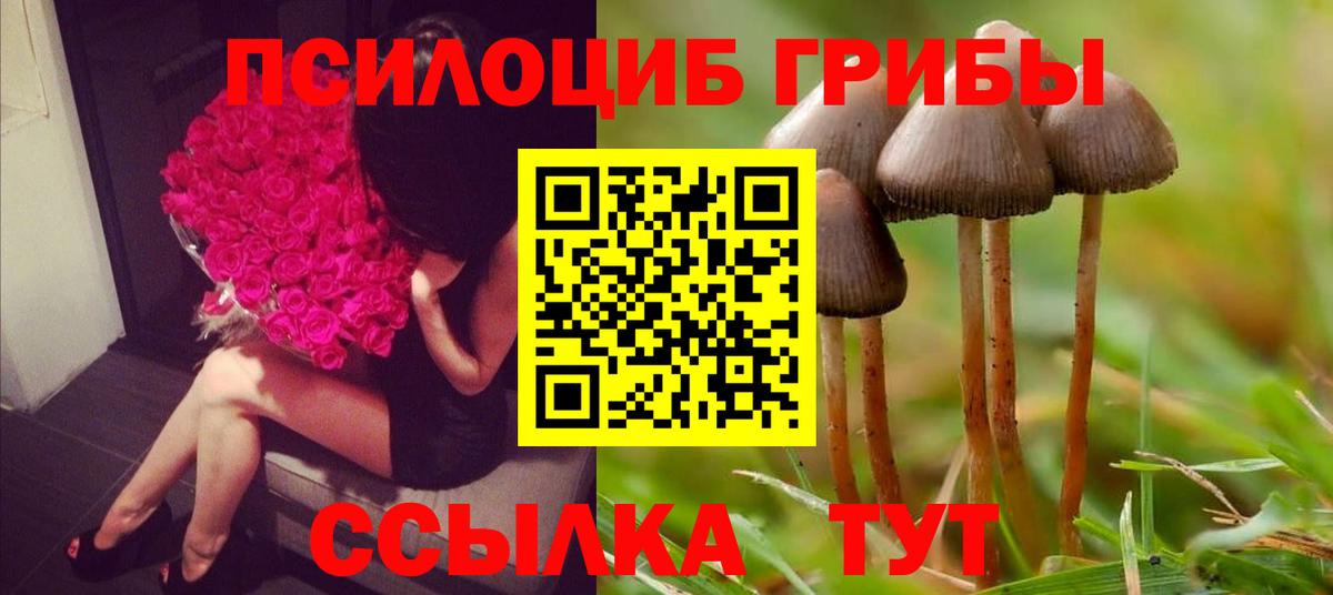 Галлюциногенные грибы Psilocybe Самара
